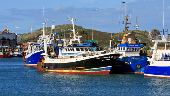 multiple fishing trawlers berthed at sea port